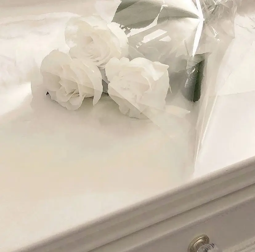 西浦 早稀の掲載