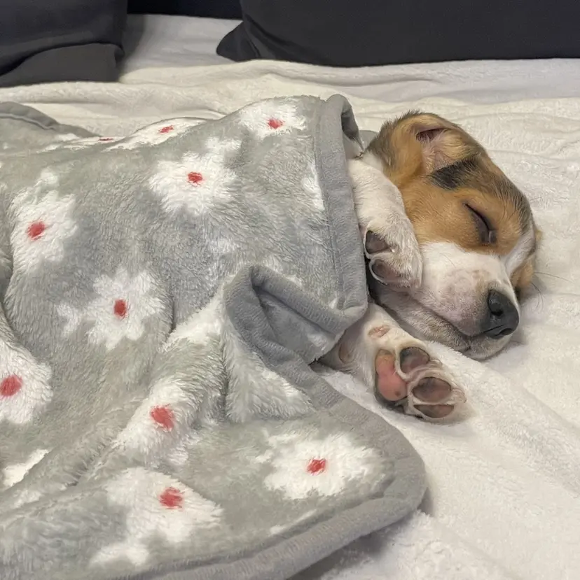 ひより ／Nの掲載