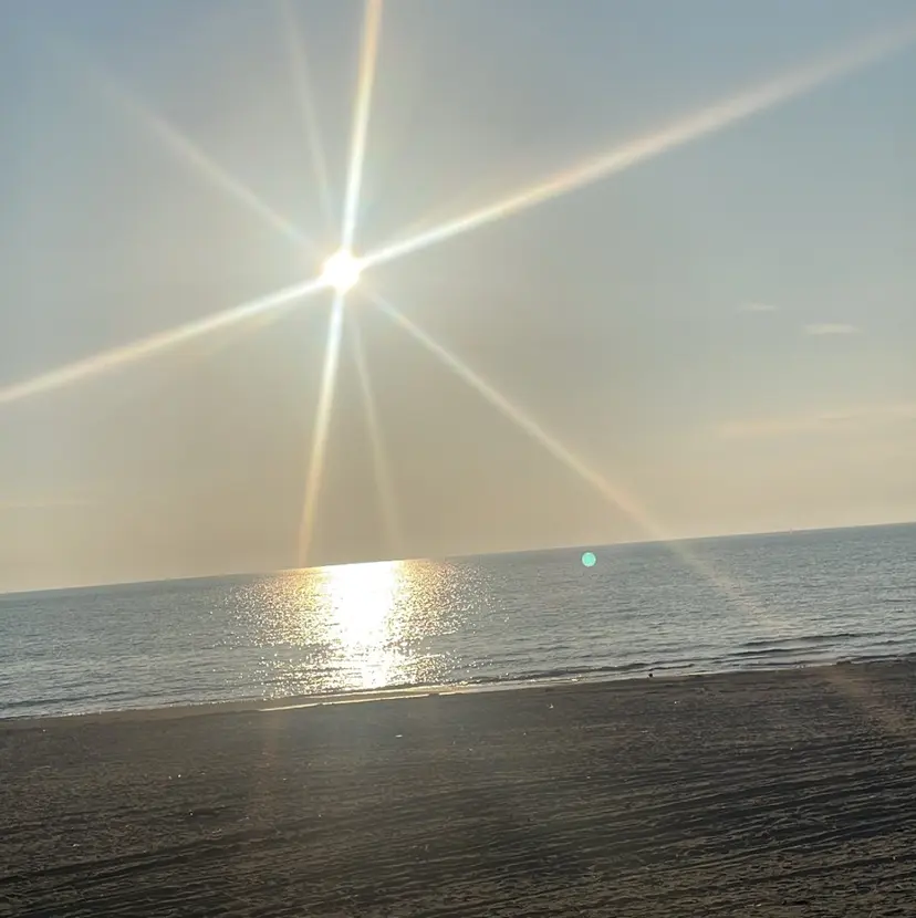 柳元 蘭夢の掲載