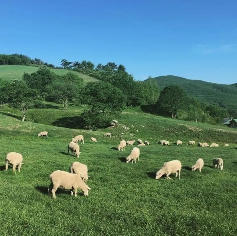 ORCA nailsalonの掲載