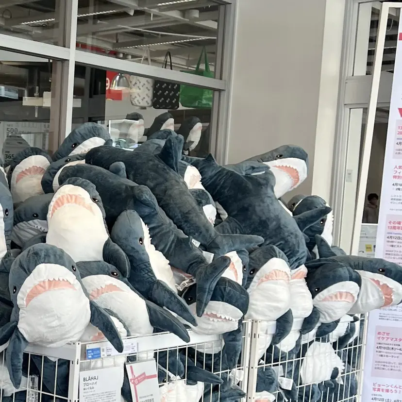 MINA / 韓国 🇰🇷ハイトーンの掲載