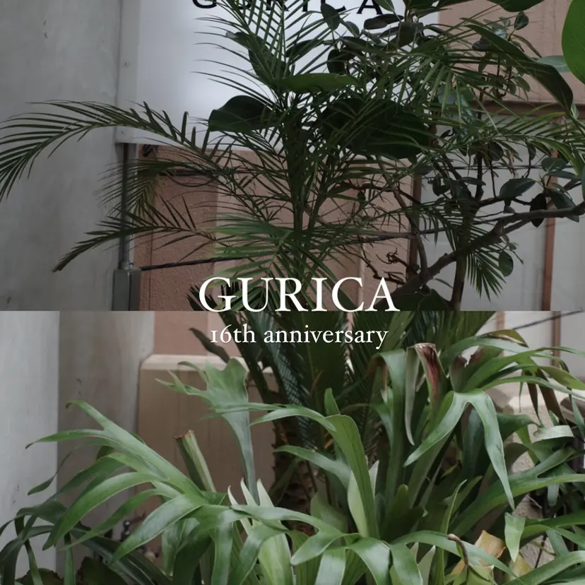 gurica_ amiの掲載