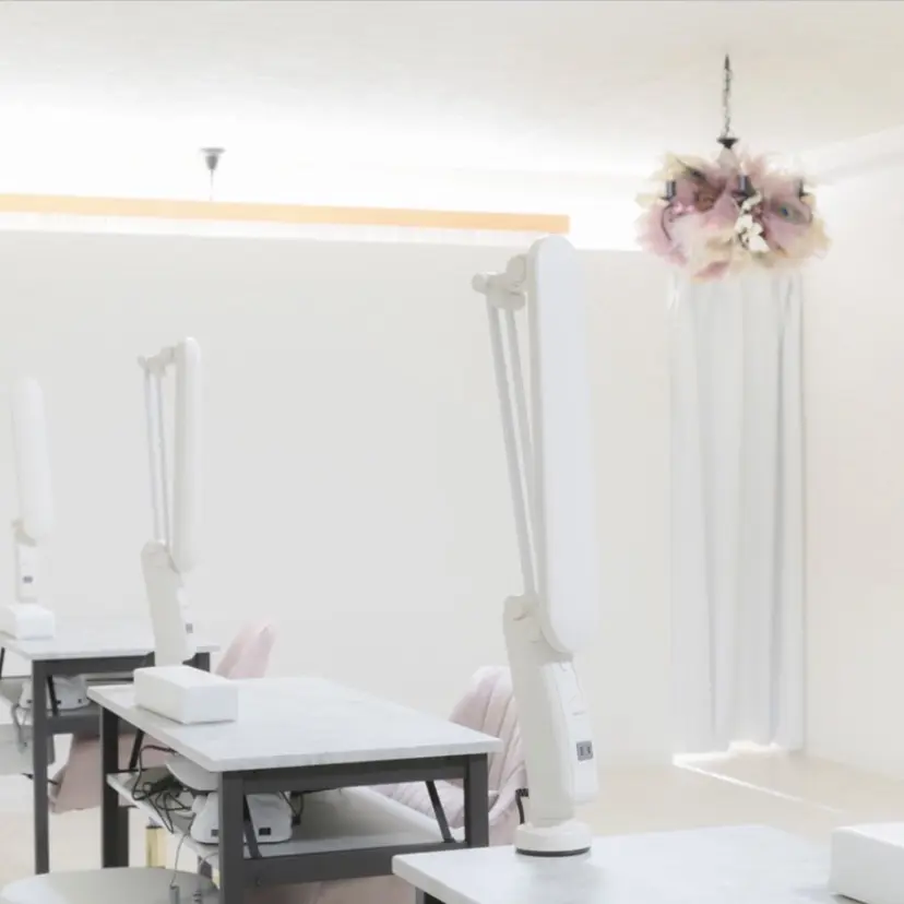 Protea岡本 友理の掲載