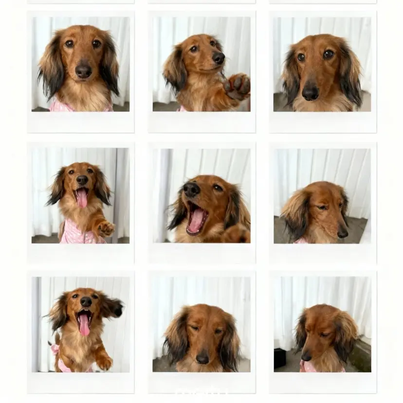 パープルピーチ ネイルの掲載