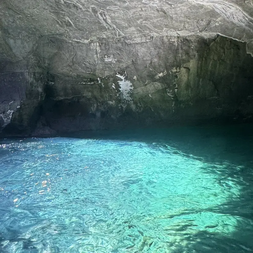 鈴木 保翔の掲載