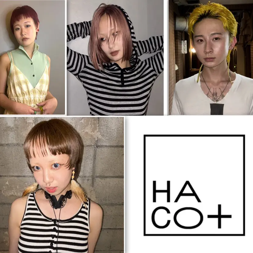 HACO+ /MOE モエの掲載