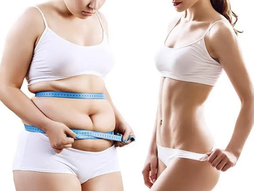 YOSAPARK nemophileの掲載