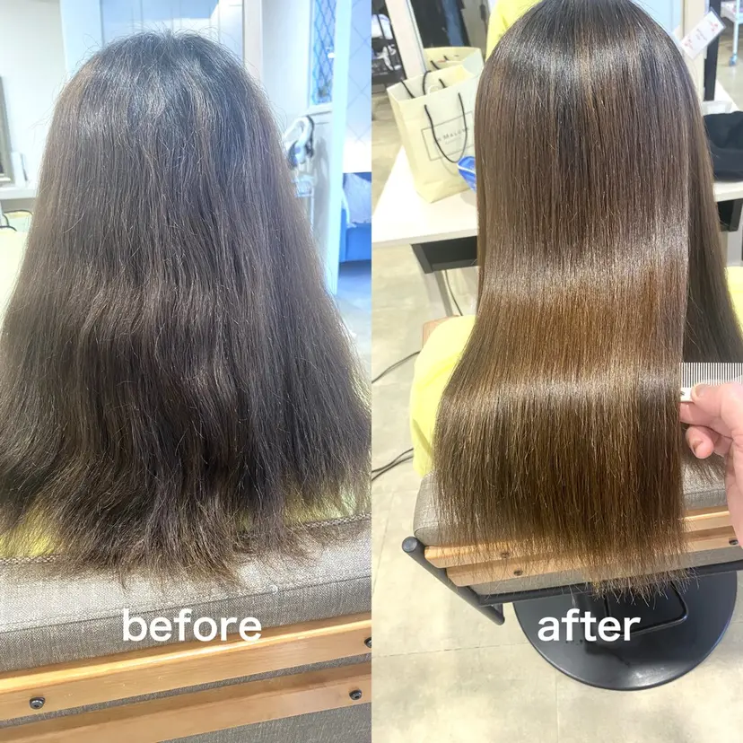 饒平名 知也の掲載