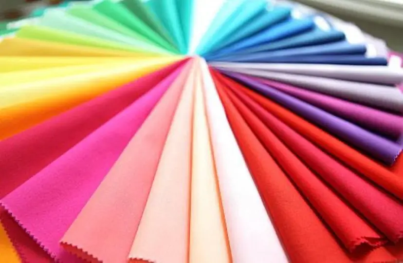 飯塚 朋代の掲載