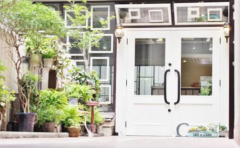 唐澤 心菜の掲載