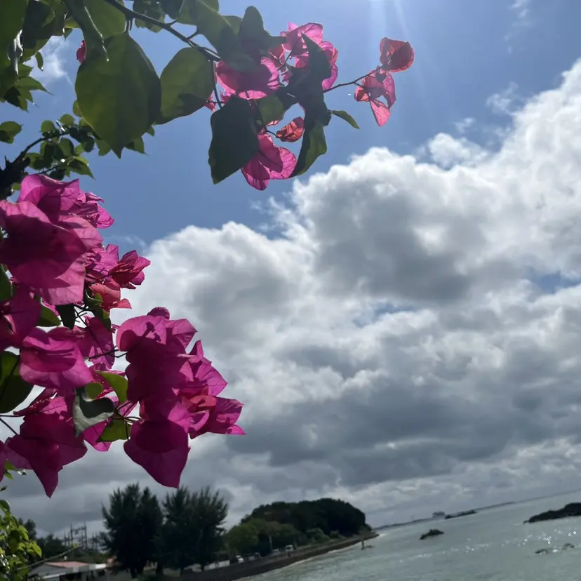 TRU きゃんの掲載