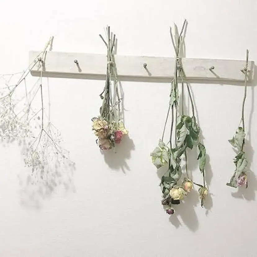 濱崎 遼太の掲載