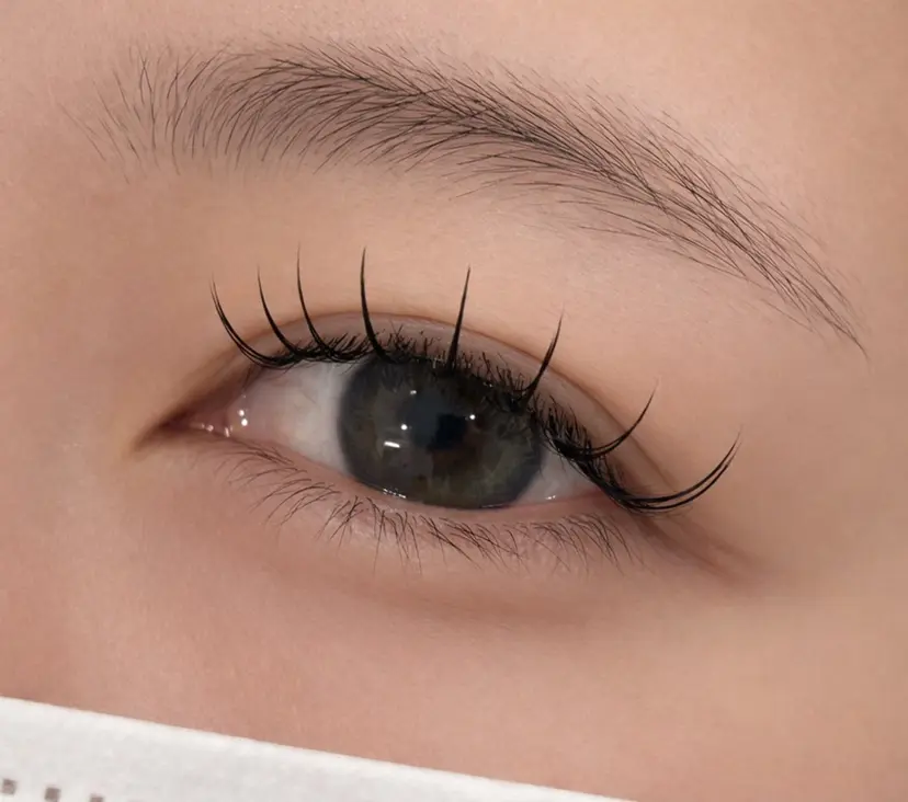 植原 彩香の掲載