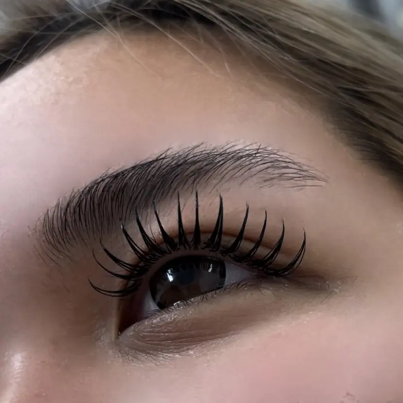 Lily にしだの掲載