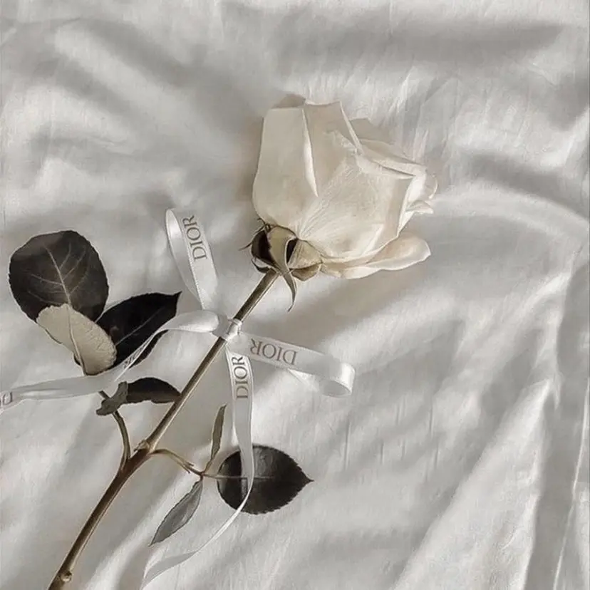 うる艶カラー／ 髪質改善／arisaの掲載