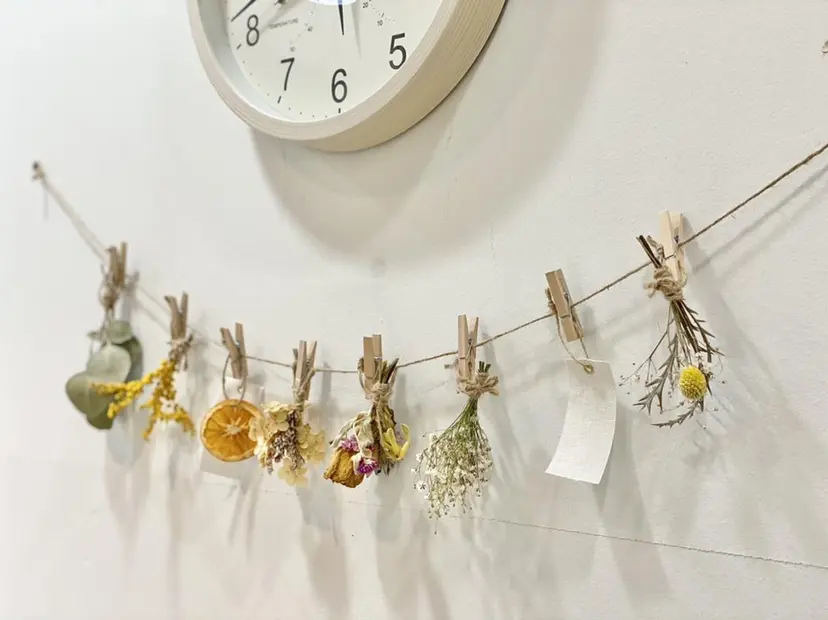 鈴木 純子の掲載