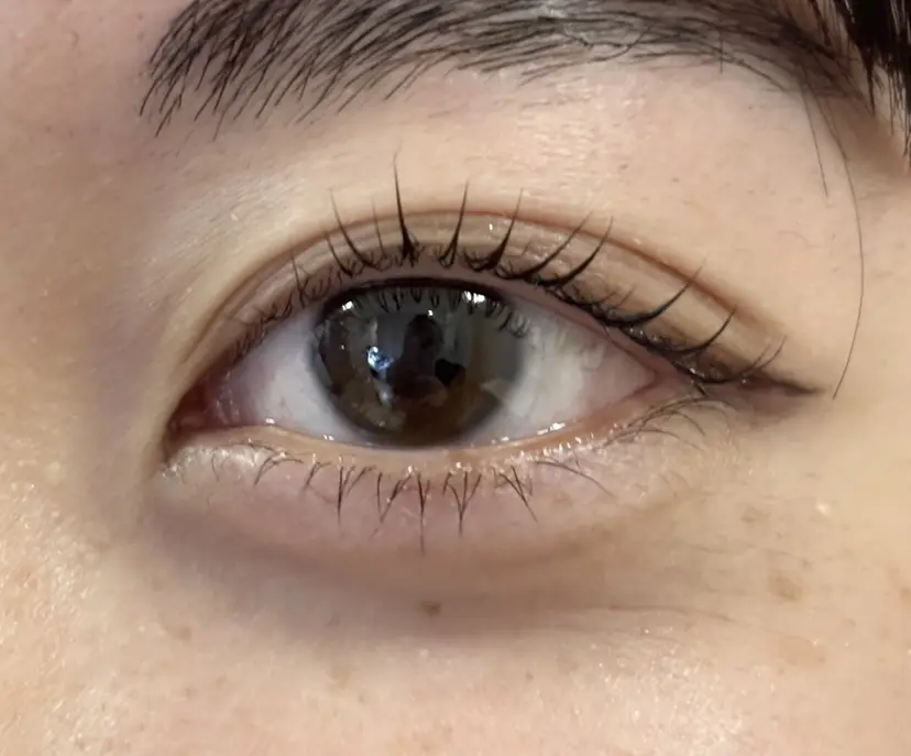 🎀STELLA nagisa🩰の掲載