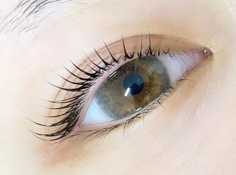 salon de Luluの掲載