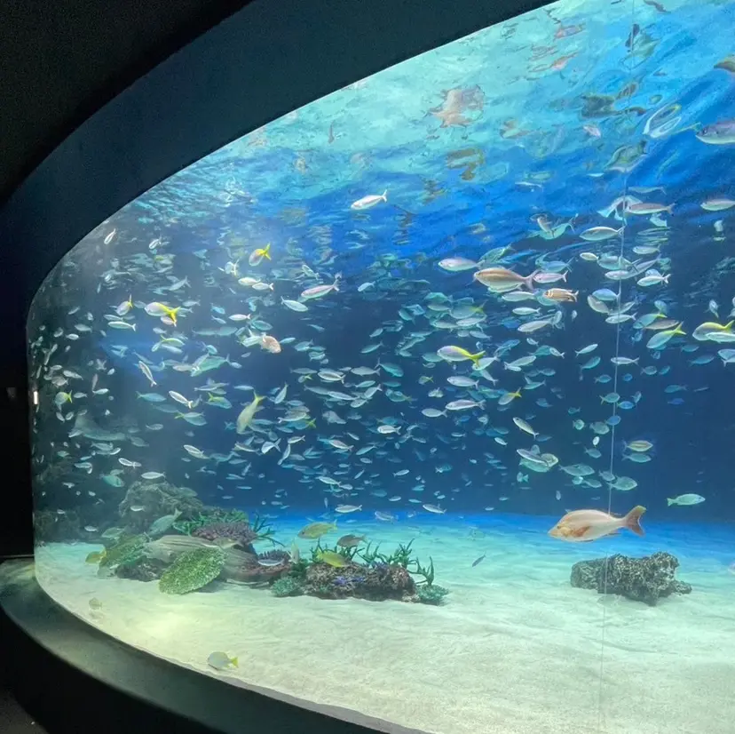 瑛 心 / モデル大募集中✨の掲載