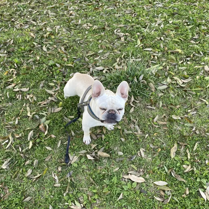 TRU みゆうの掲載