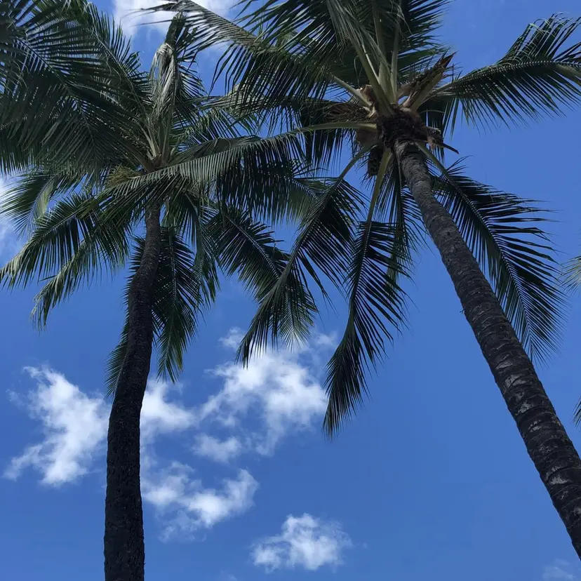 NANAHO 湘南台美容室の掲載