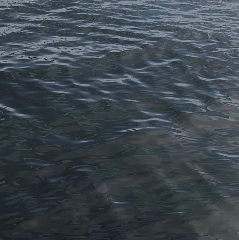 黒瀬 陽詩の掲載