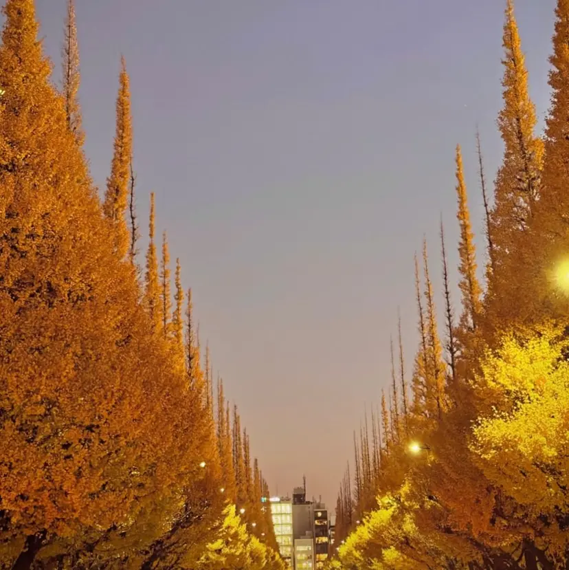 うえはら みやの掲載