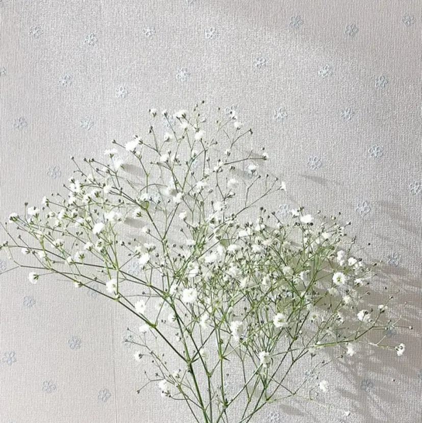 🫧毛先カット 🫧山中沙希の掲載