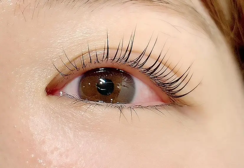 櫻井 美樹の掲載