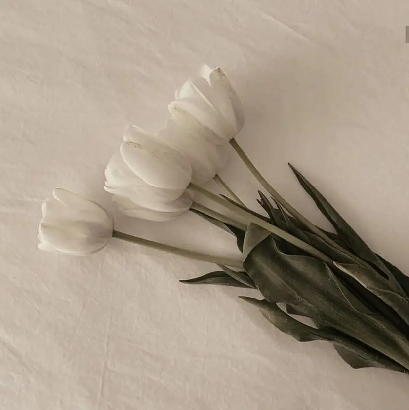 Eye Salon /まつ毛/眉毛の掲載