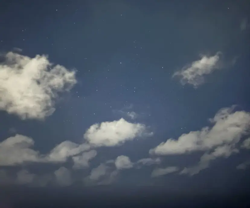 BiBi  藪 菜月の掲載