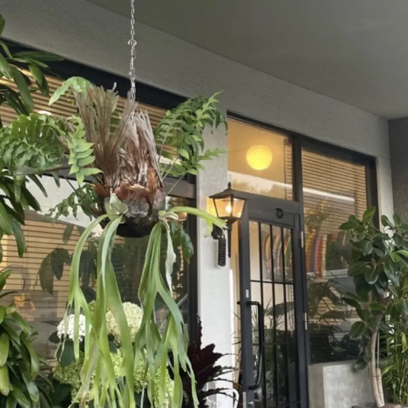 mei／周南 ／ぷつっと／レイヤーの掲載