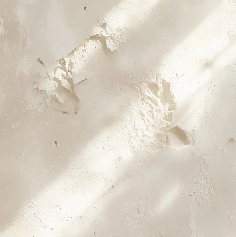 Ciel / RIHOの掲載