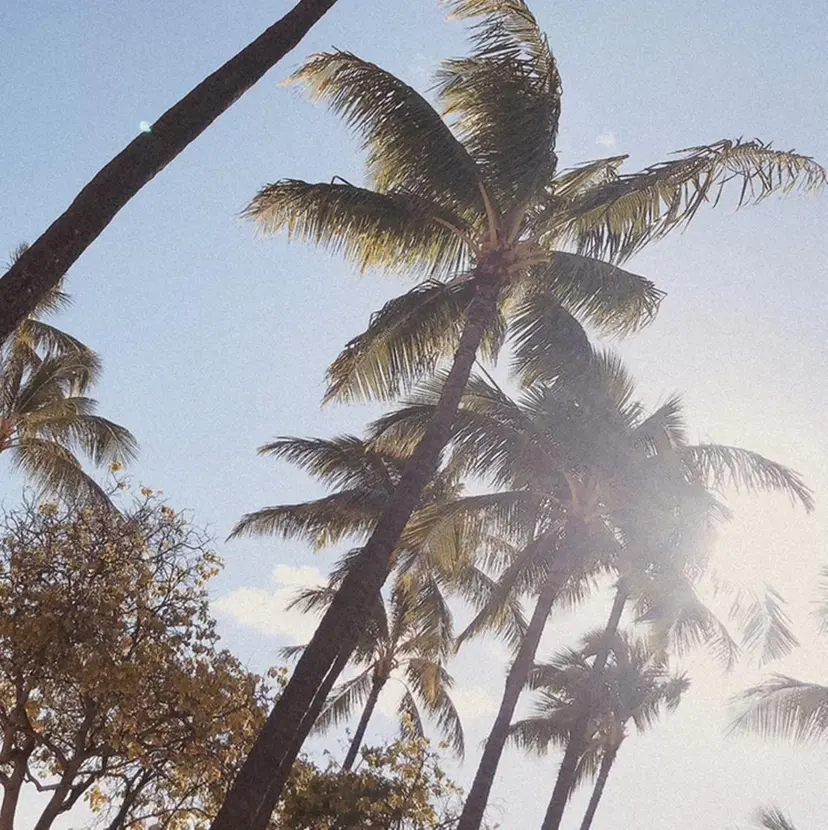 いとう ありさの掲載