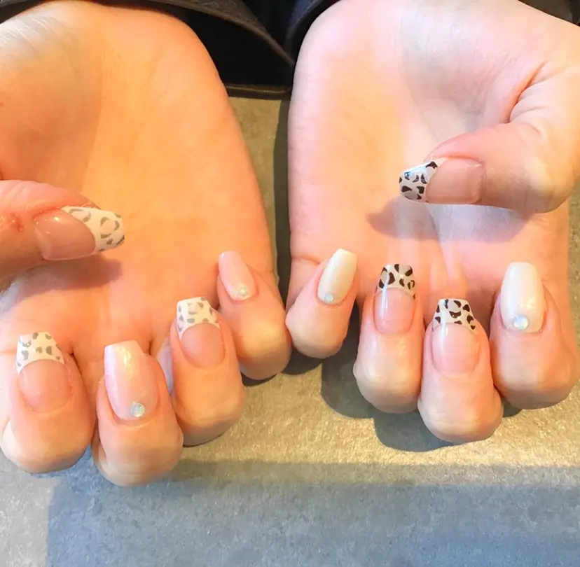 Nest 岩崎の掲載