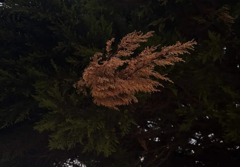 平日モデル価格あり メンズ人気/水橋柊太の掲載