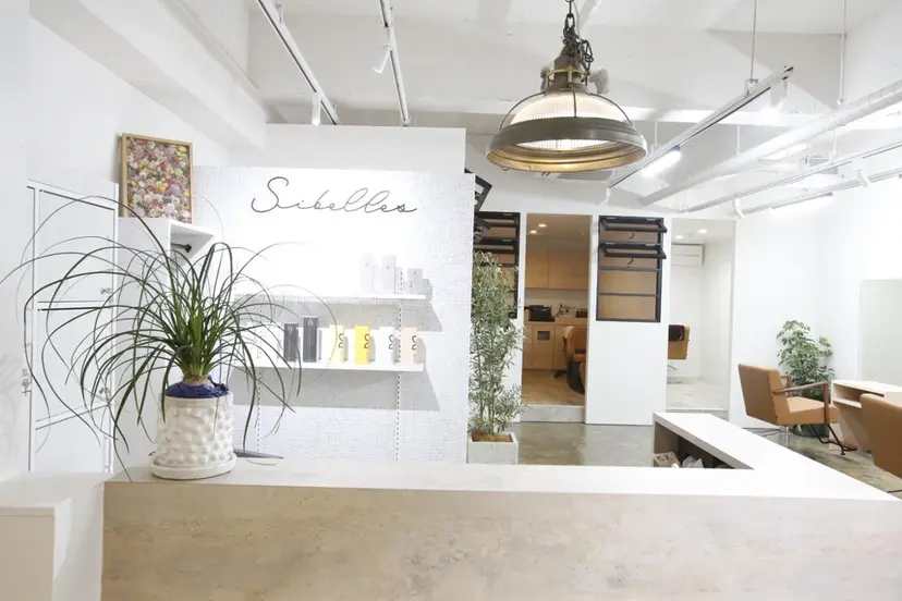 スギ リンカの掲載