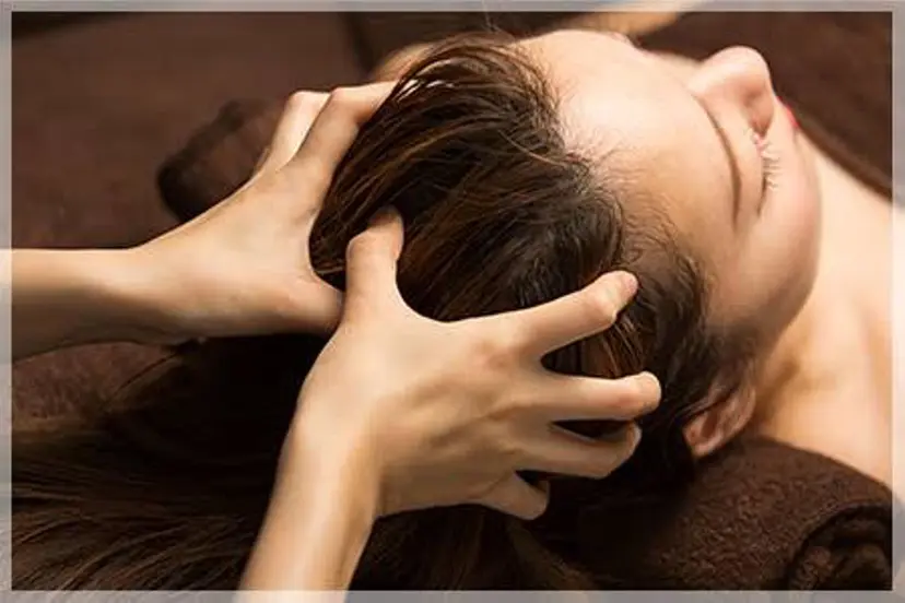 Felice ケイトの掲載