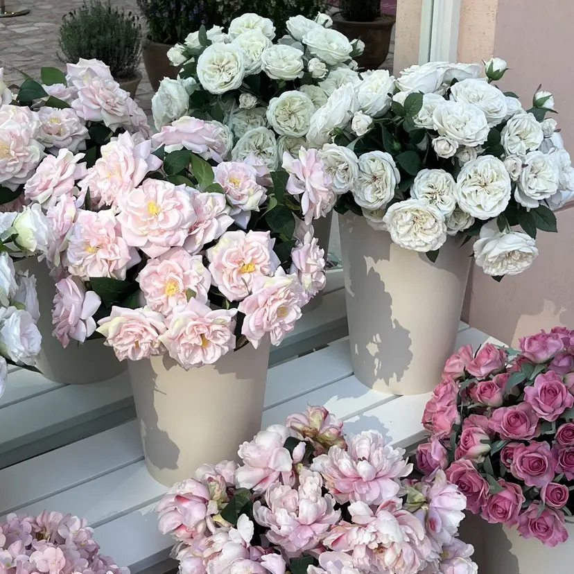 カットモデル✂️ ゆうかの掲載