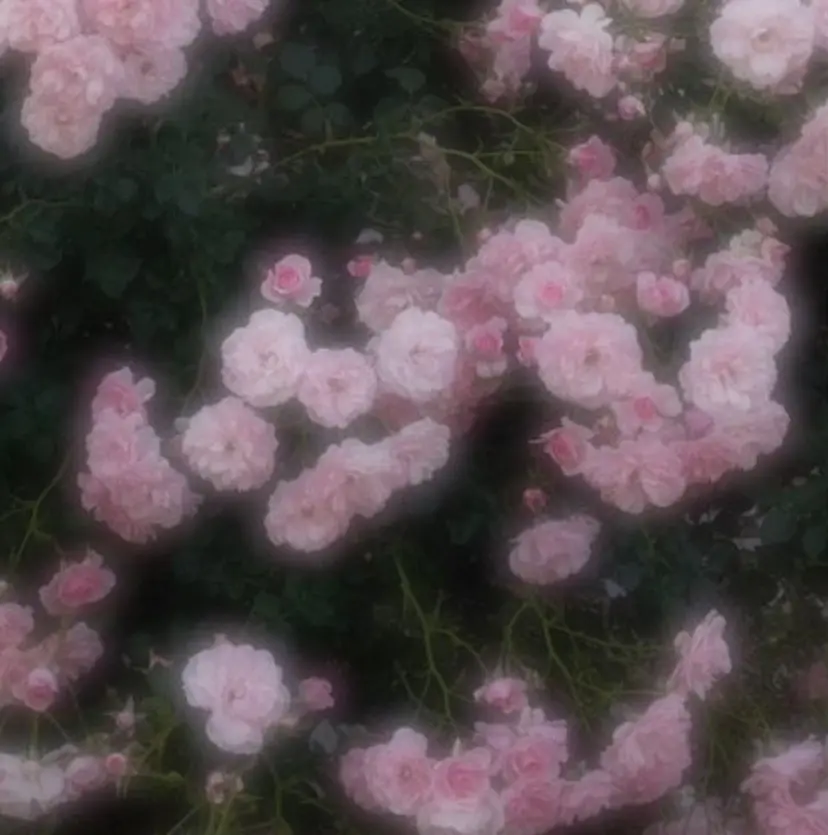 Nagisa / miel立川の掲載