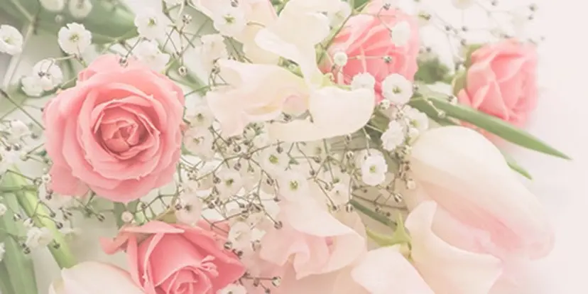 Salon'sDoo Nの掲載