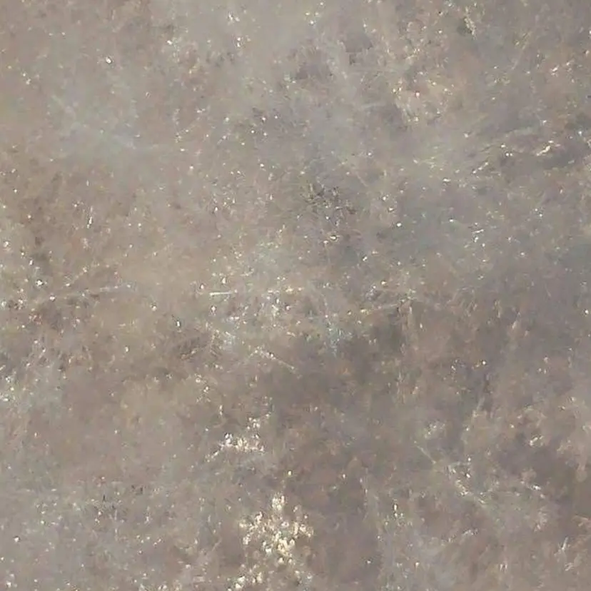 shimizu rionの掲載