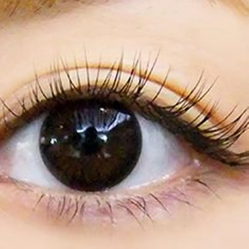 石井  安子の掲載