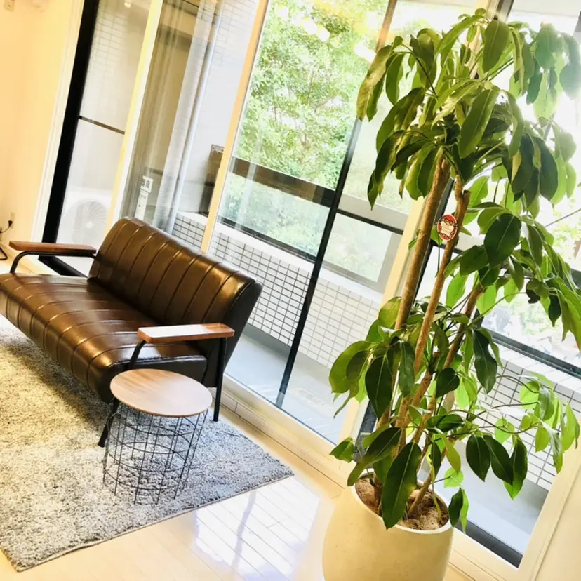 脱毛サロン Willow /棚村の掲載