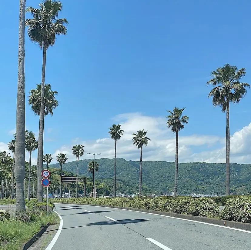 🏝 Ririka🏝️の掲載