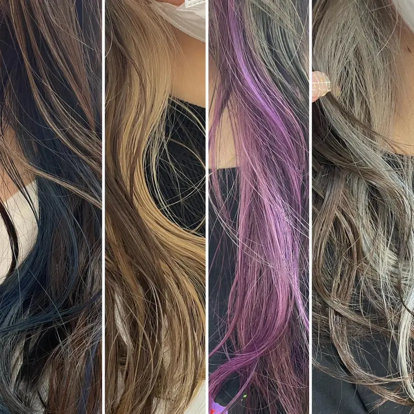 佐藤 芽依の掲載