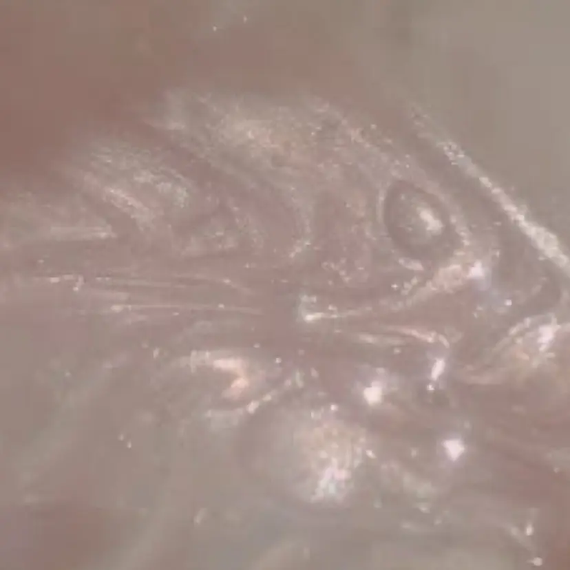 熊川 理子の掲載