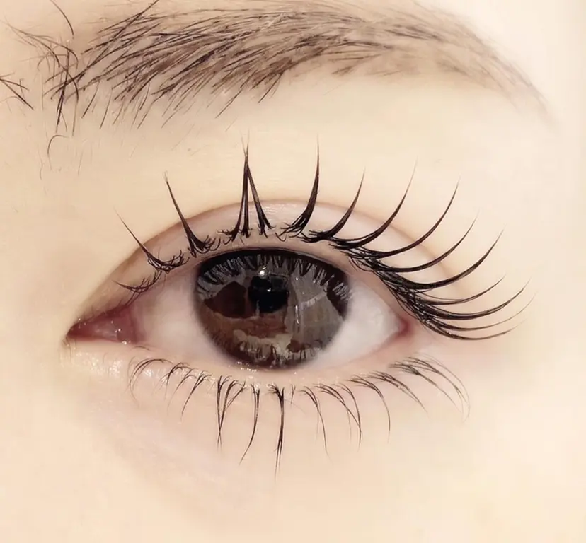 SENSE OF BEAUTYの掲載