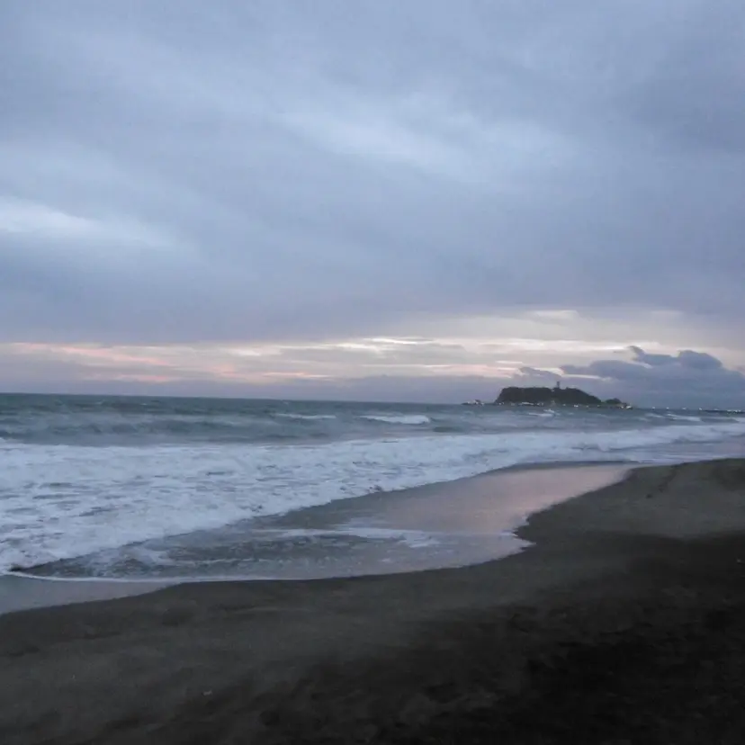 川口 琴音の掲載