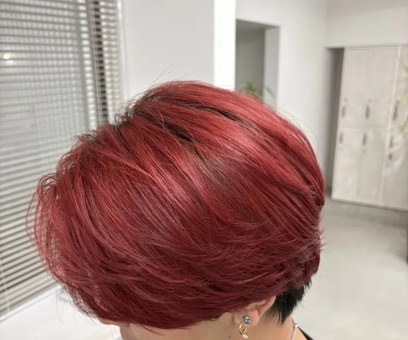 星田 大和の掲載